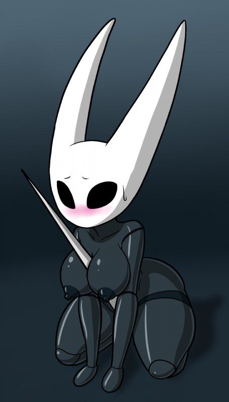 Hollow knight collection 317