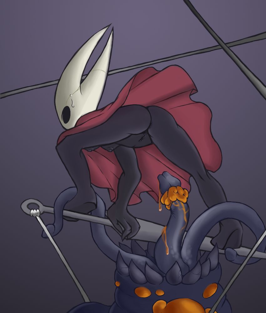 Hollow knight collection 43