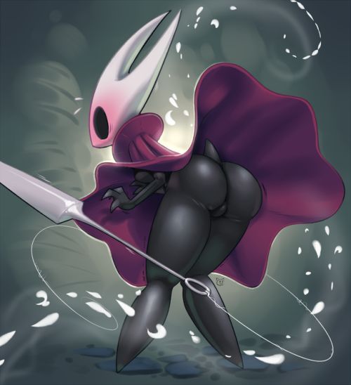 Hollow knight collection 71