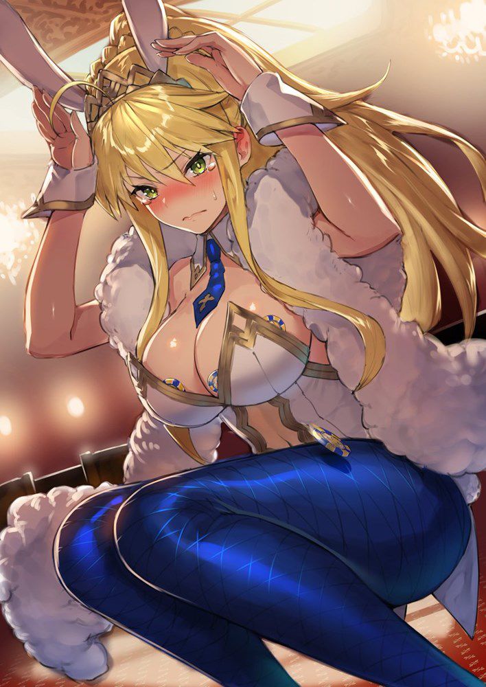 I collected erotic images of Fate Grand Order 12