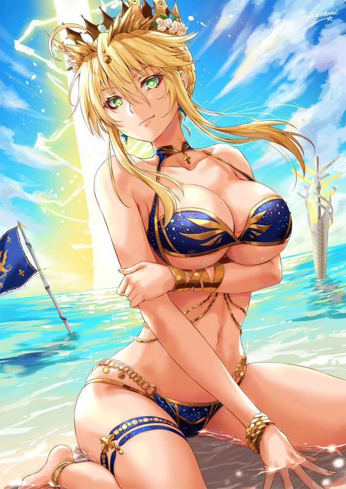 I collected erotic images of Fate Grand Order 14