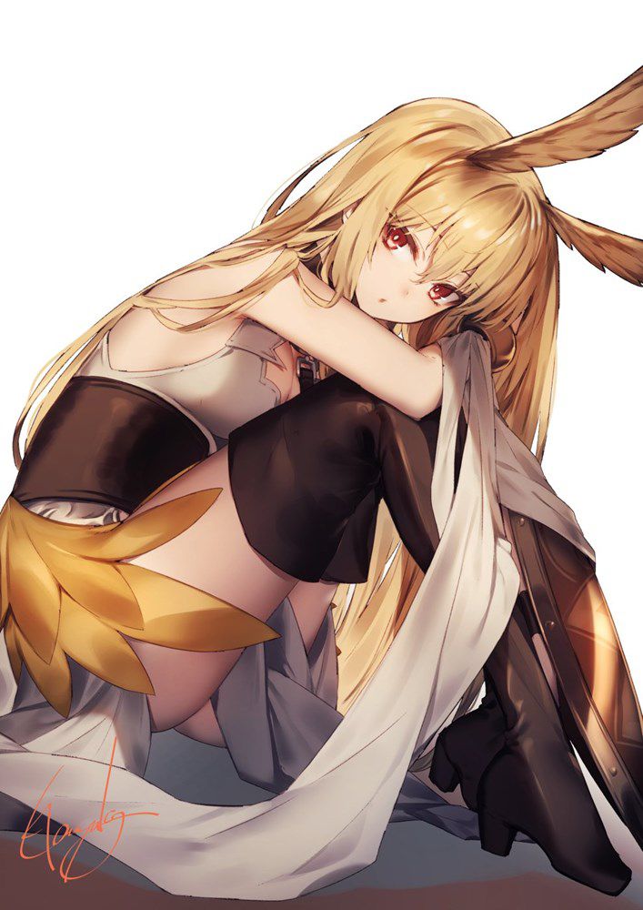 I collected erotic images of Fate Grand Order 17