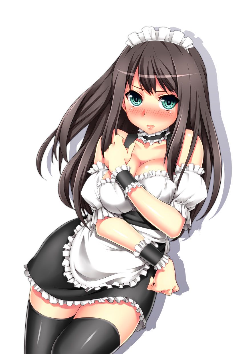 [Maid] erotica image summary of two-dimensional maid beautiful girl. vol.21 44