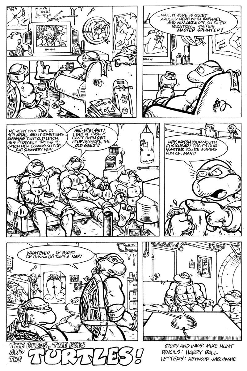 Teenage Mutant Ninja Turtles hentai comic 2