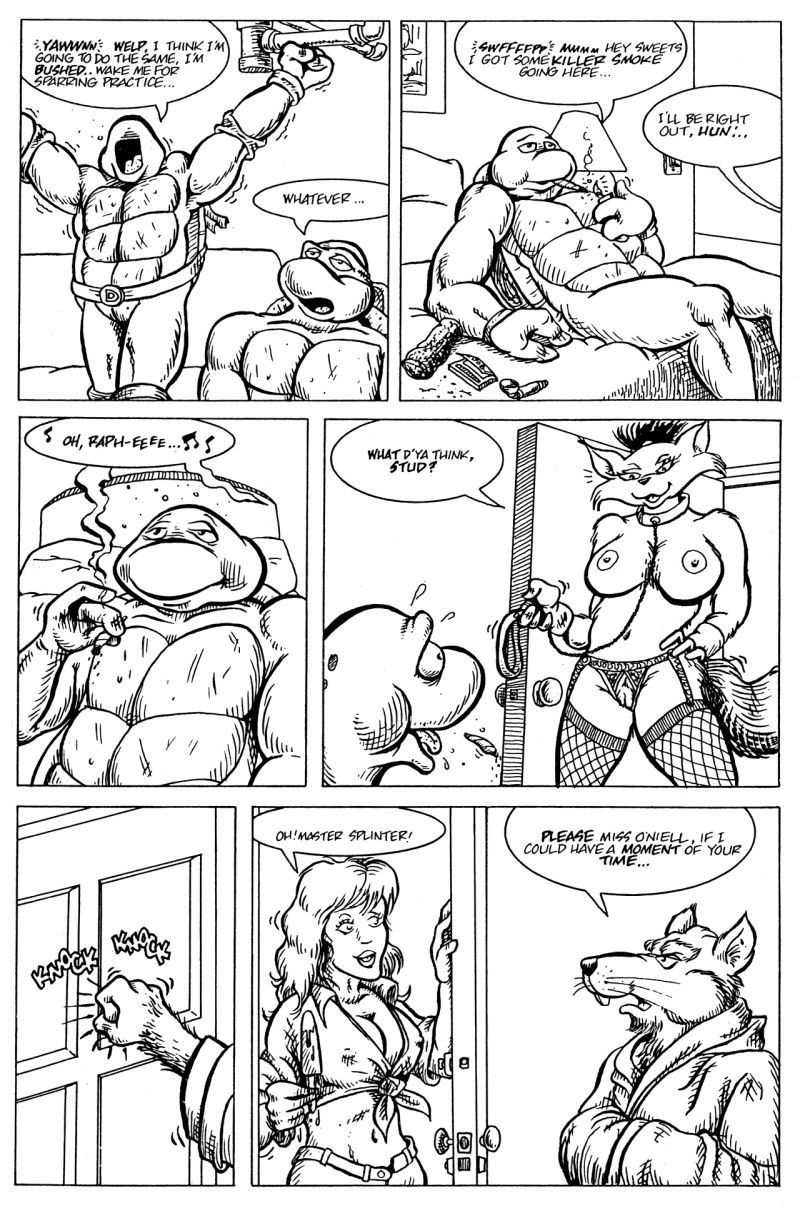 Teenage Mutant Ninja Turtles hentai comic 3