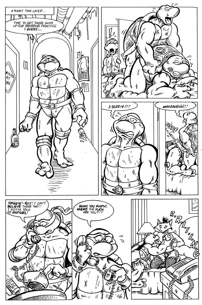 Teenage Mutant Ninja Turtles hentai comic 5