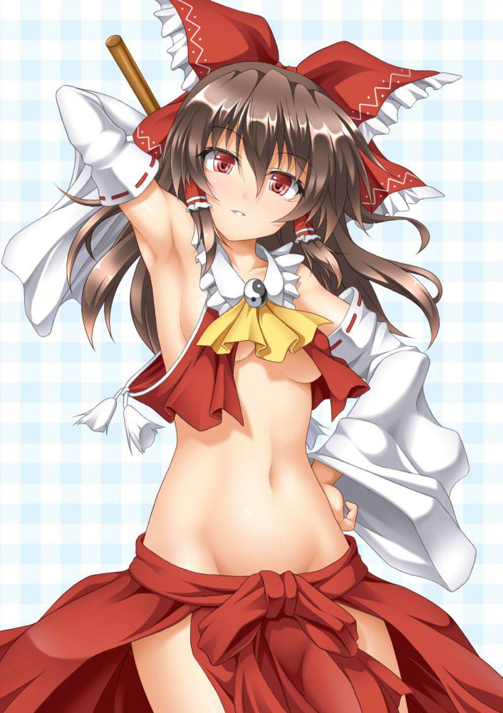 Erotic image assortment of Touhou Project 9