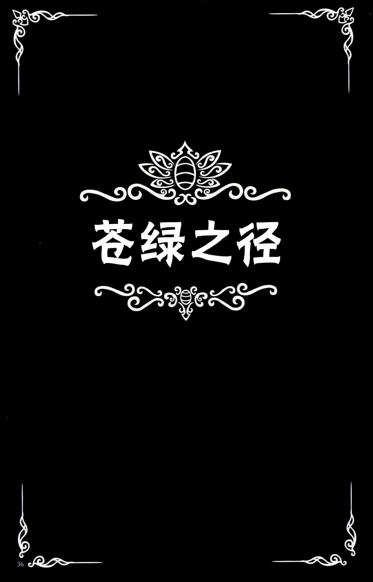 《Hollow Knight》 Wanderer's Journal [Chinese] 《空洞骑士》游荡者笔记 [Chinese] 40