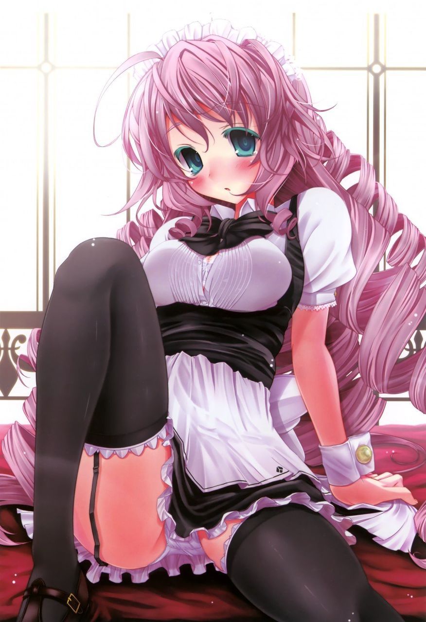 [Maid] erotica image summary of two-dimensional maid beautiful girl. vol.14 20