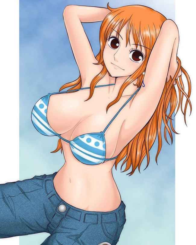 One Piece Erotic Image Assortment 5