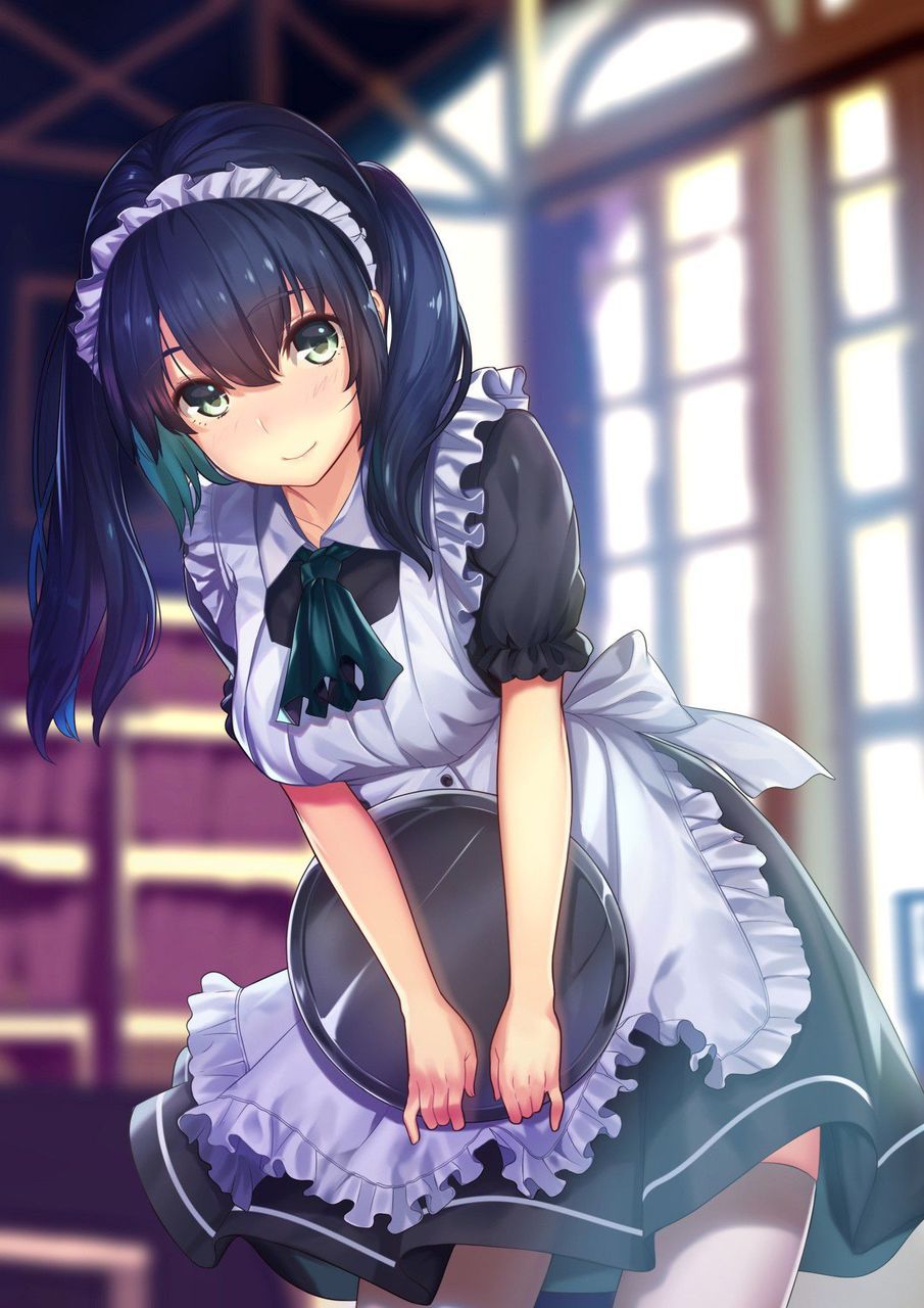 【Maid】If you win 300 million in the lottery, paste an image of the maid you want to hire Part 45 16