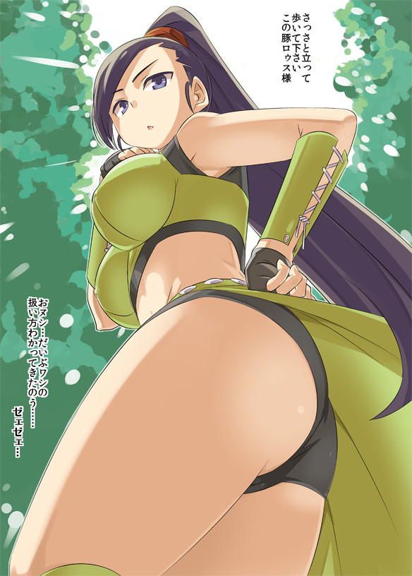 I collected erotic images of Dragon Quest 6