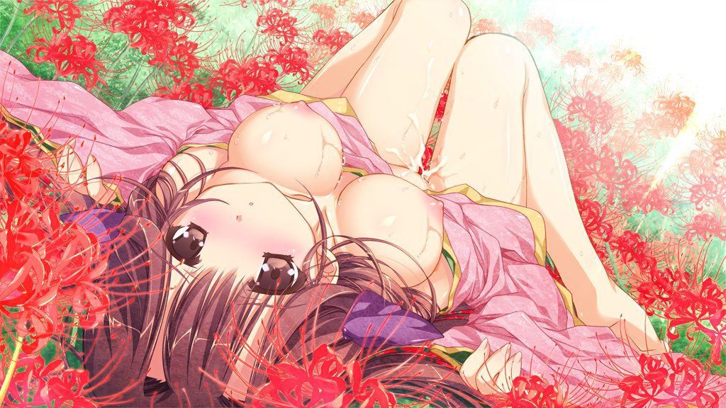 2D Japanese Traditional Erotic! Erotic image summary 67 sheets that you want to enjoy peeling the kimono 24