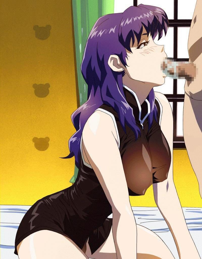 I collected erotic images of evangelion of the new century Evangelion 14