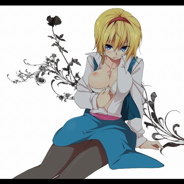 [Eastern Project] I want an erotic image of Alice! 7