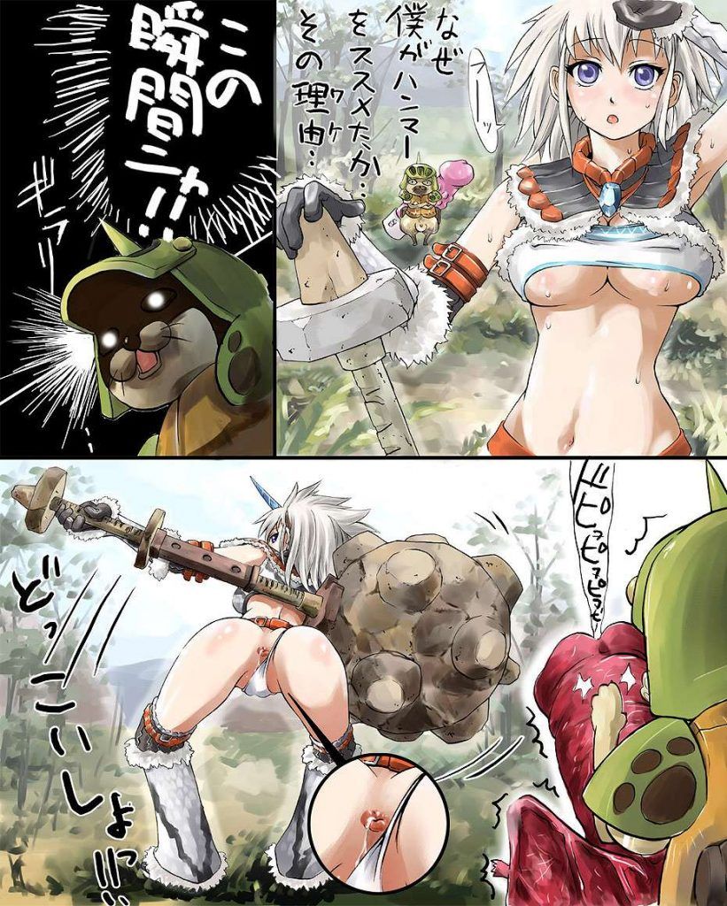 I tried to collect erotic images of monster hunter! 1