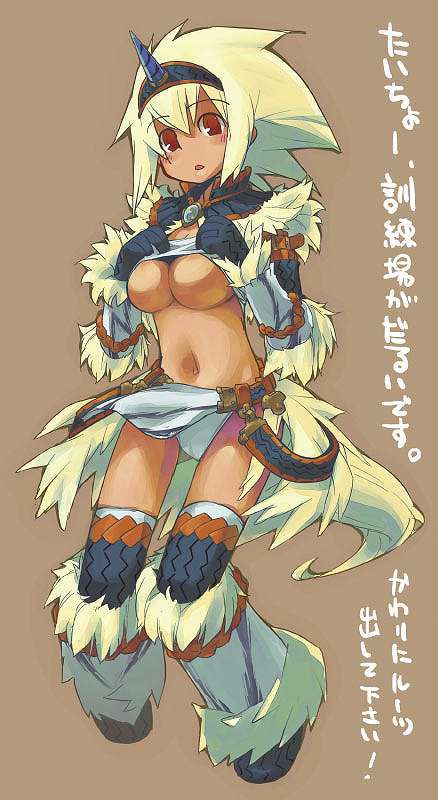 I tried to collect erotic images of monster hunter! 19