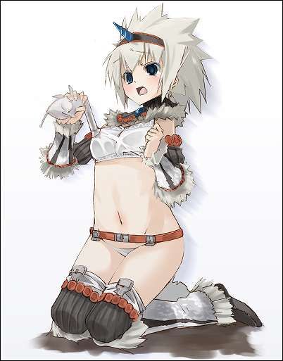 I tried to collect erotic images of monster hunter! 4