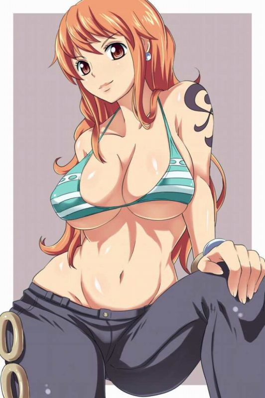 I looked for high-quality erotic images of one piece! 3