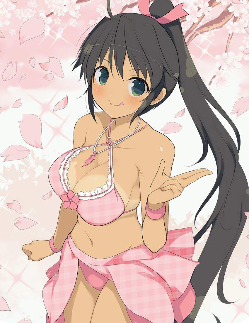 I collected the onneta image of Senran Kagura!! 18