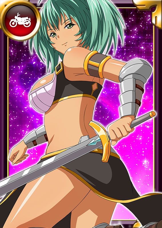 Ikkitousen Cards Coleccyion  Ryofu Housen set 1