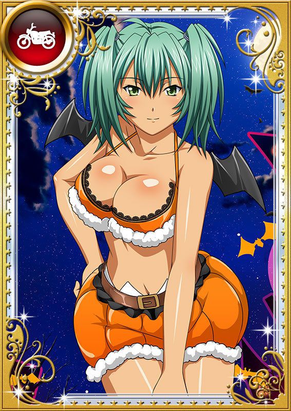 Ikkitousen Cards Coleccyion  Ryofu Housen set 1007