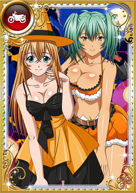 Ikkitousen Cards Coleccyion  Ryofu Housen set 1008