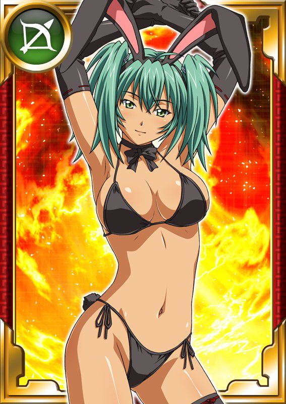 Ikkitousen Cards Coleccyion  Ryofu Housen set 103