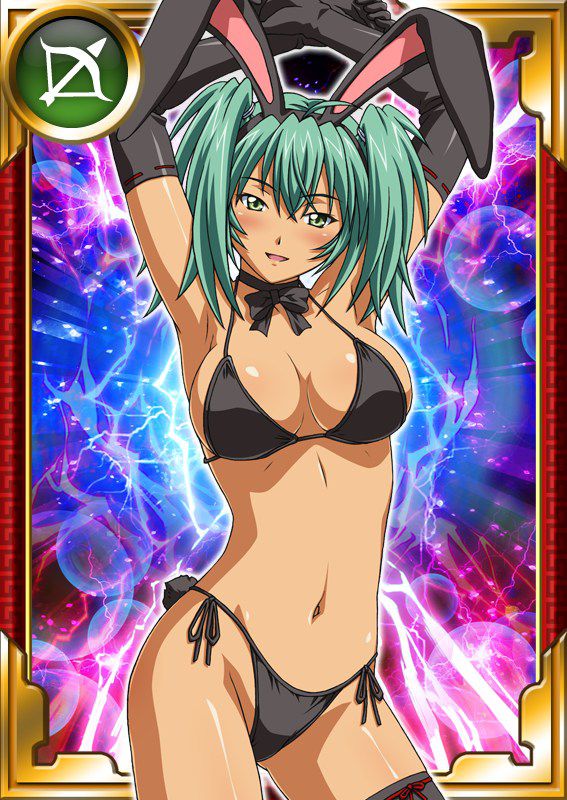 Ikkitousen Cards Coleccyion  Ryofu Housen set 104