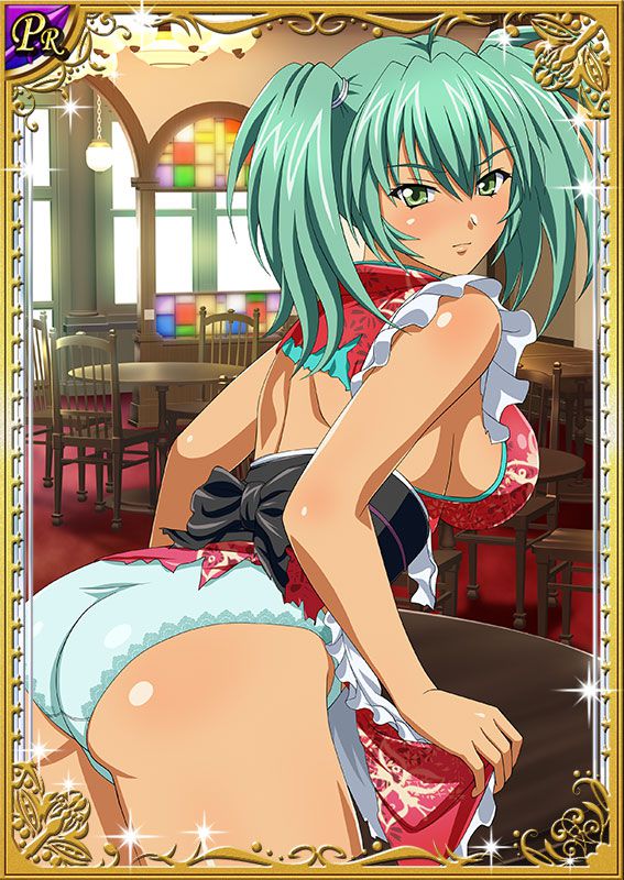 Ikkitousen Cards Coleccyion  Ryofu Housen set 105