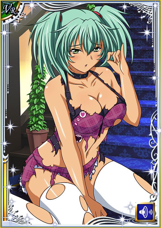 Ikkitousen Cards Coleccyion  Ryofu Housen set 11