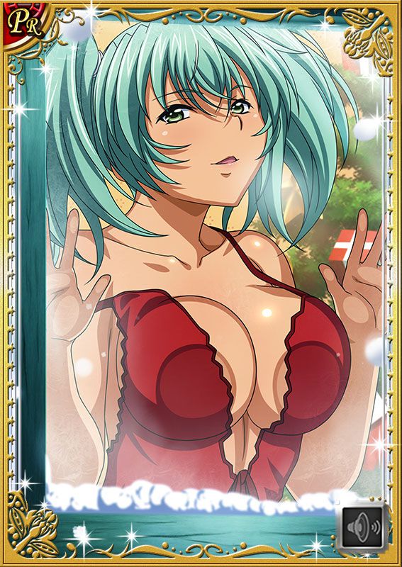 Ikkitousen Cards Coleccyion  Ryofu Housen set 110