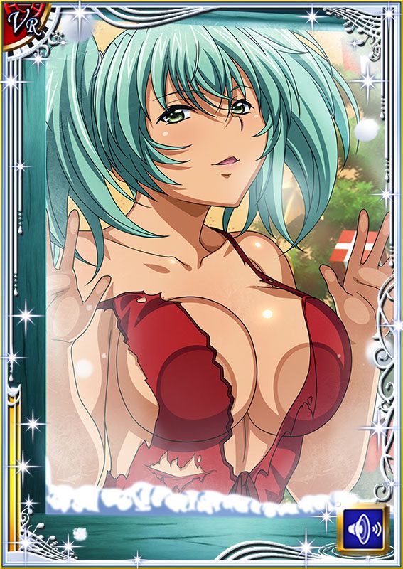 Ikkitousen Cards Coleccyion  Ryofu Housen set 111