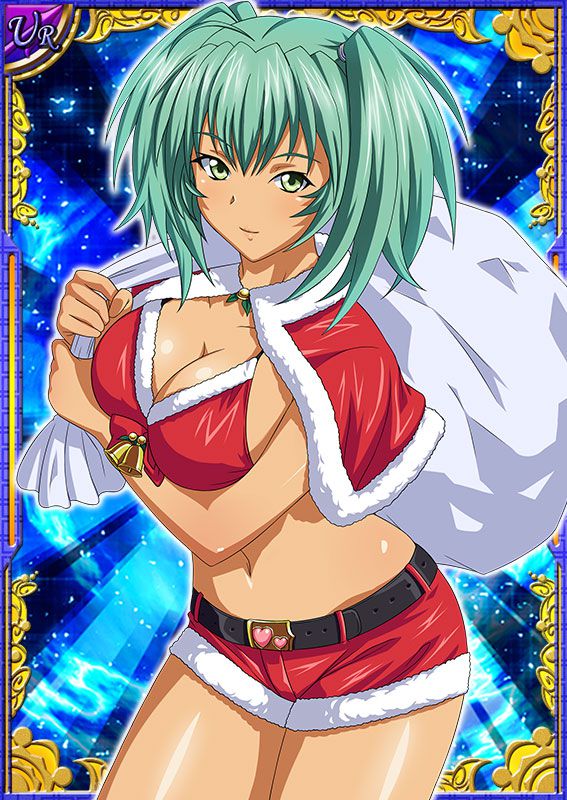 Ikkitousen Cards Coleccyion  Ryofu Housen set 113