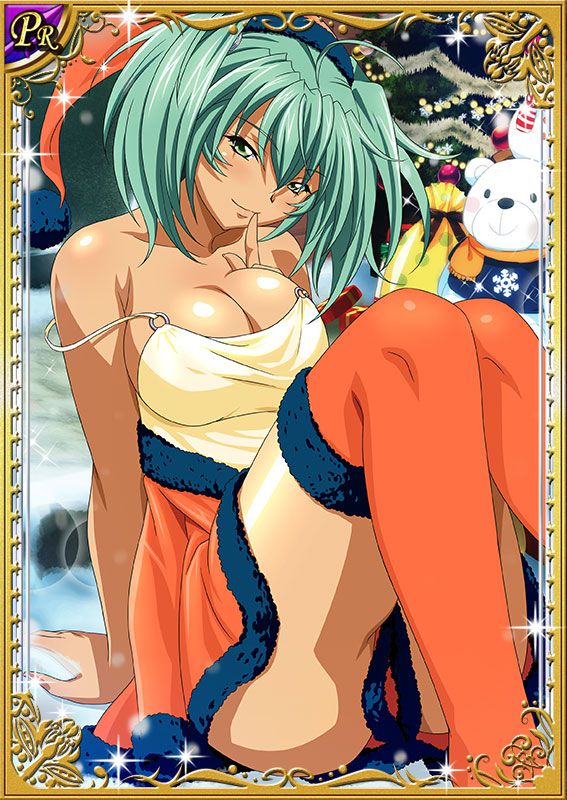 Ikkitousen Cards Coleccyion  Ryofu Housen set 118