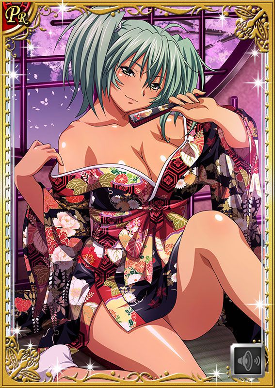 Ikkitousen Cards Coleccyion  Ryofu Housen set 12