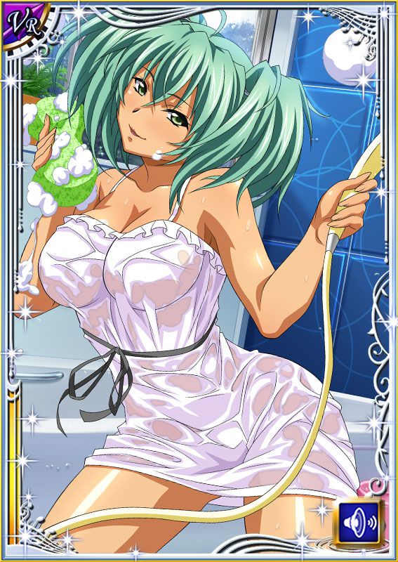 Ikkitousen Cards Coleccyion  Ryofu Housen set 120