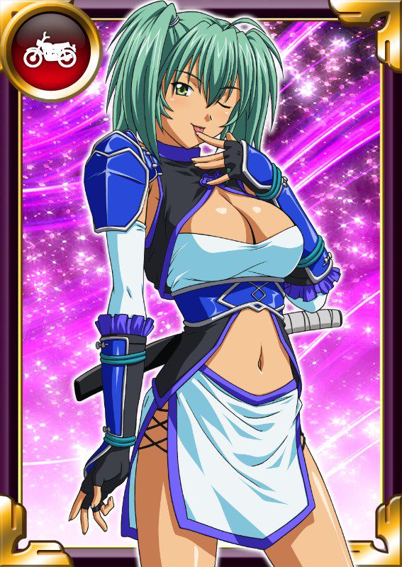 Ikkitousen Cards Coleccyion  Ryofu Housen set 125