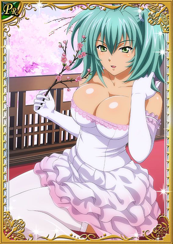 Ikkitousen Cards Coleccyion  Ryofu Housen set 161