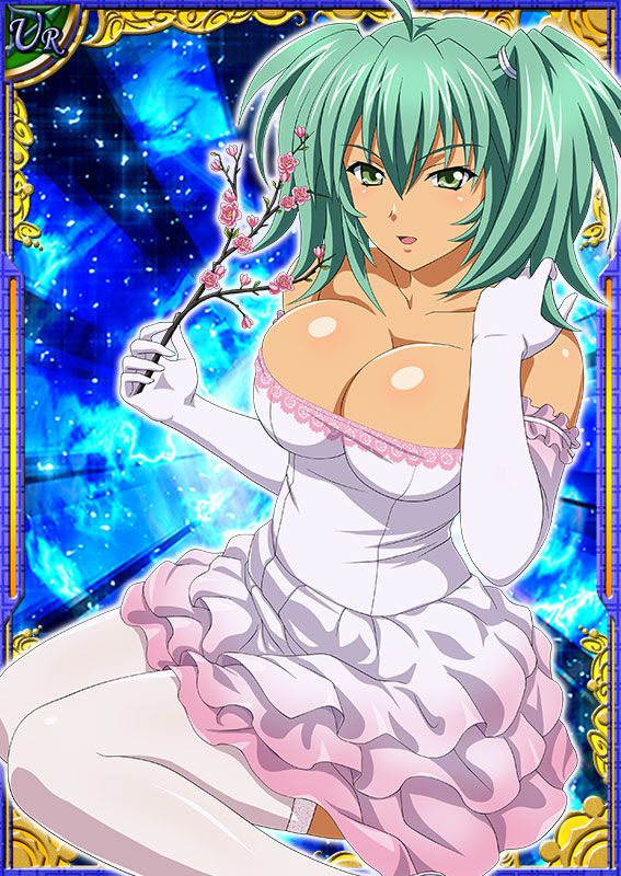 Ikkitousen Cards Coleccyion  Ryofu Housen set 163