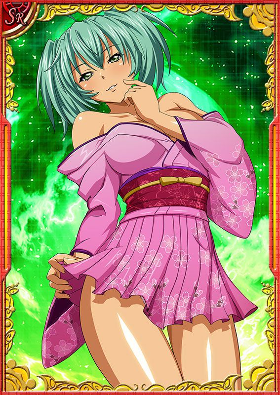 Ikkitousen Cards Coleccyion  Ryofu Housen set 164