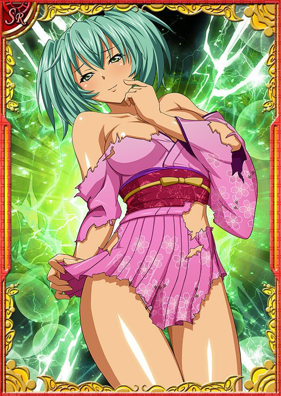 Ikkitousen Cards Coleccyion  Ryofu Housen set 165