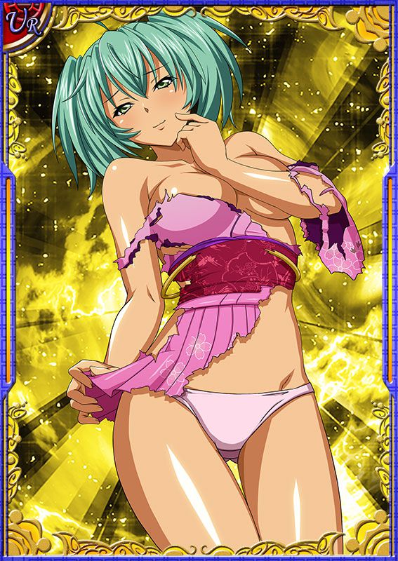 Ikkitousen Cards Coleccyion  Ryofu Housen set 166