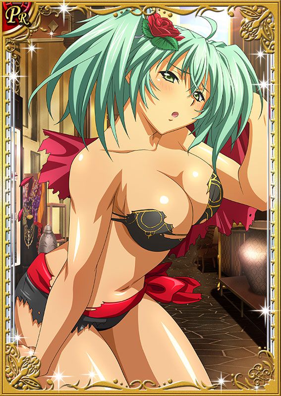 Ikkitousen Cards Coleccyion  Ryofu Housen set 17