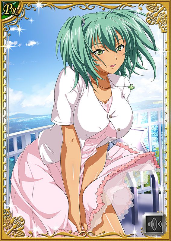 Ikkitousen Cards Coleccyion  Ryofu Housen set 172