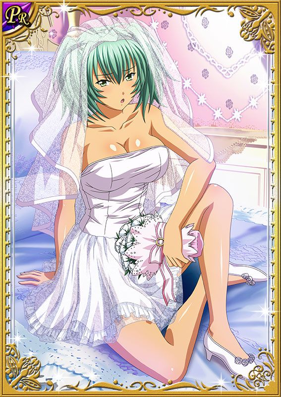 Ikkitousen Cards Coleccyion  Ryofu Housen set 178