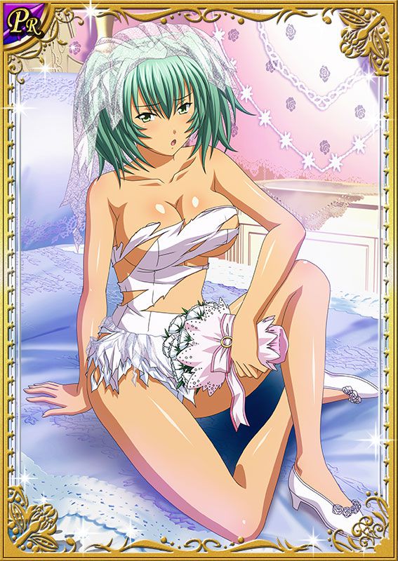 Ikkitousen Cards Coleccyion  Ryofu Housen set 179