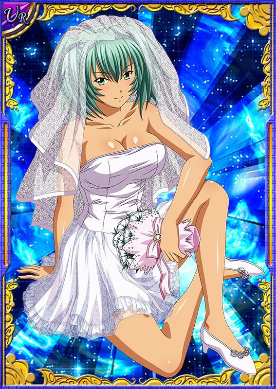 Ikkitousen Cards Coleccyion  Ryofu Housen set 180