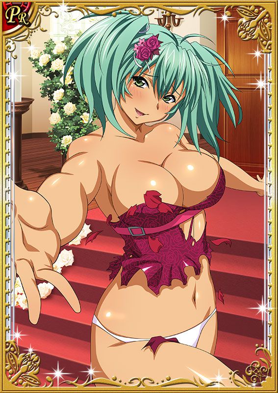 Ikkitousen Cards Coleccyion  Ryofu Housen set 181