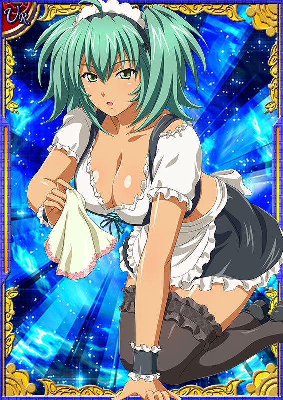 Ikkitousen Cards Coleccyion  Ryofu Housen set 190